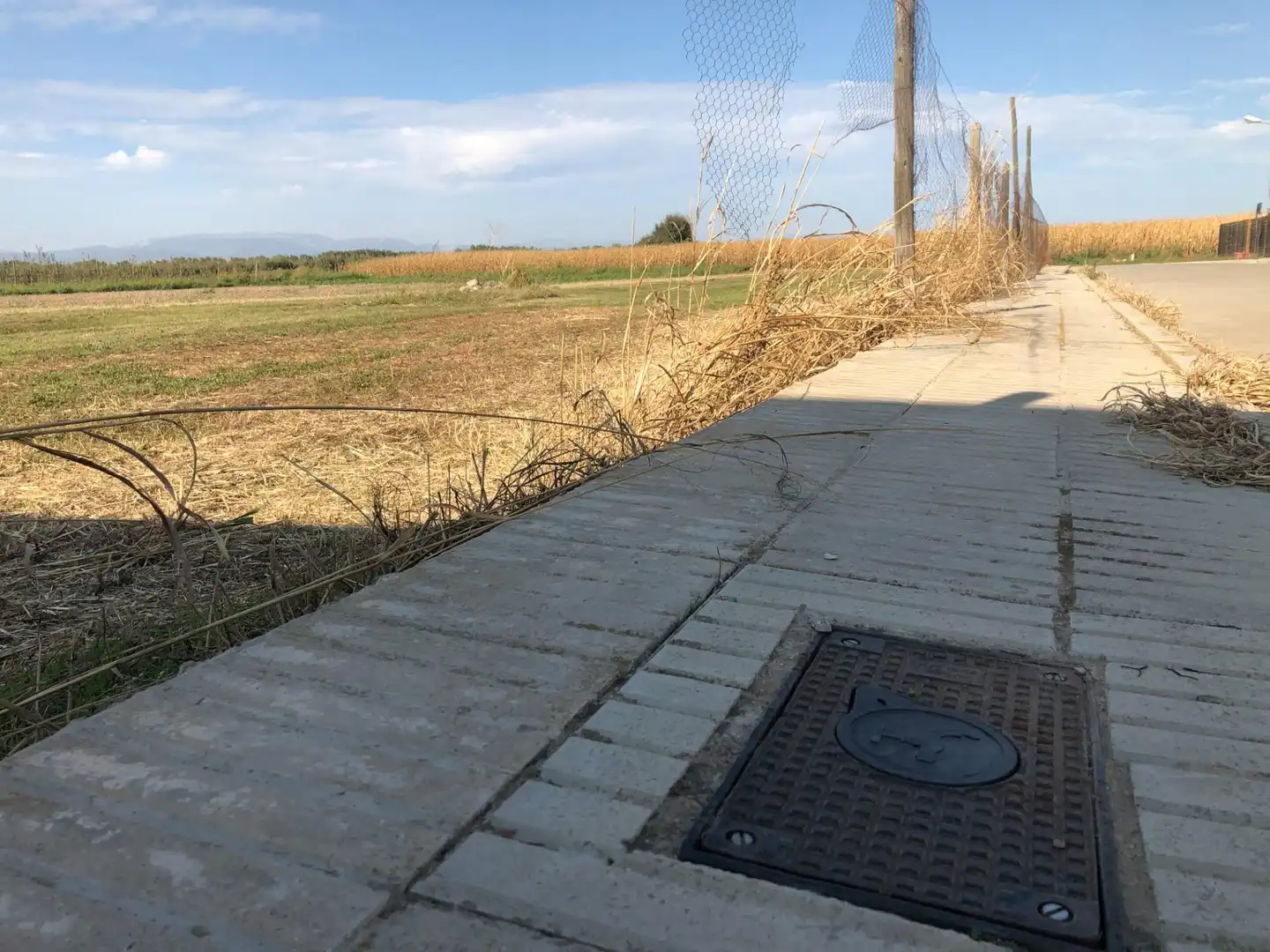Vista exterior de Terreno en venta en Ivars d'Urgell
