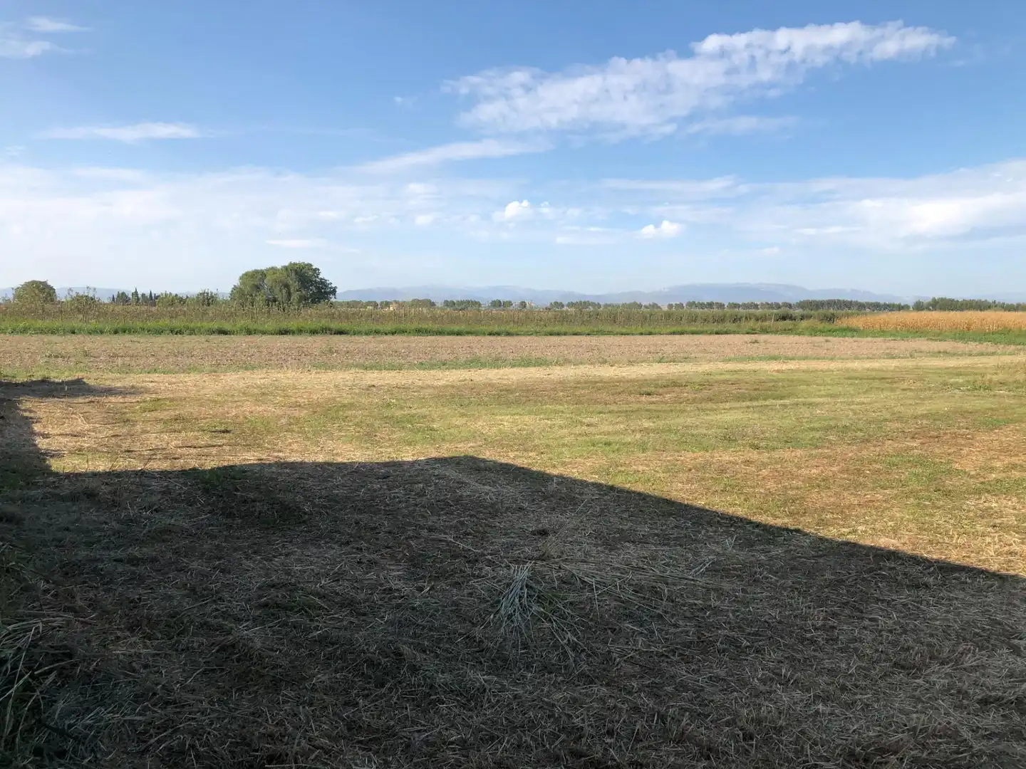 Terreno en venta en Ivars d'Urgell