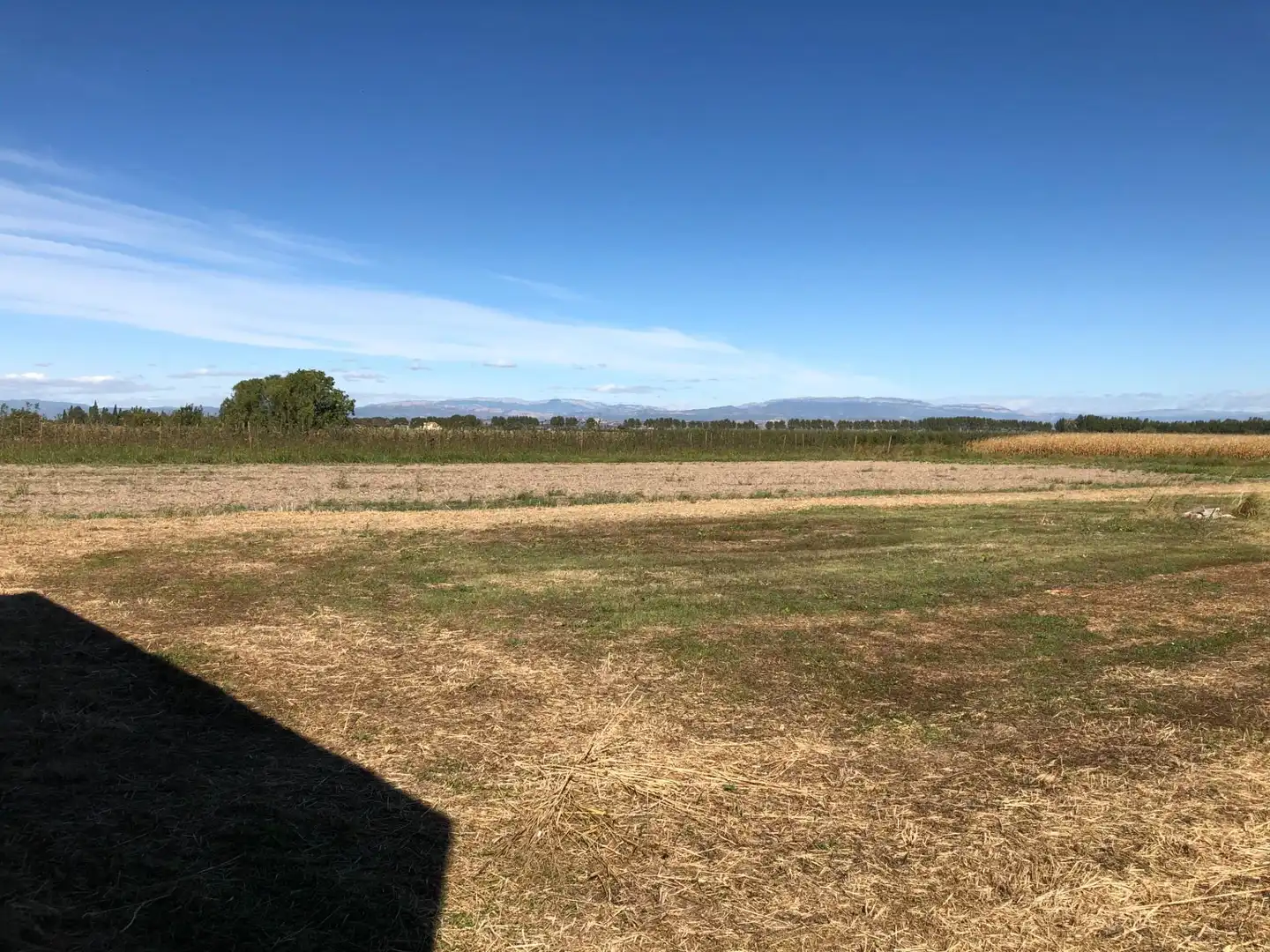 Terreno en venta en Ivars d'Urgell