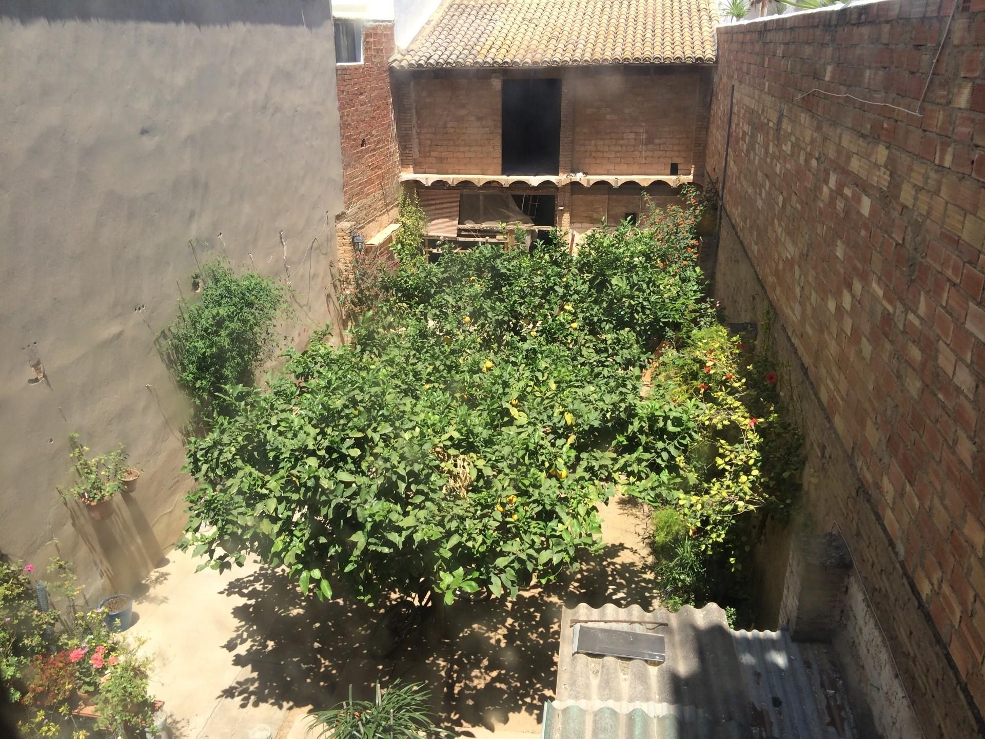 Garden of Single-family semi-detached for sale in Benetússer  with Terrace and Balcony