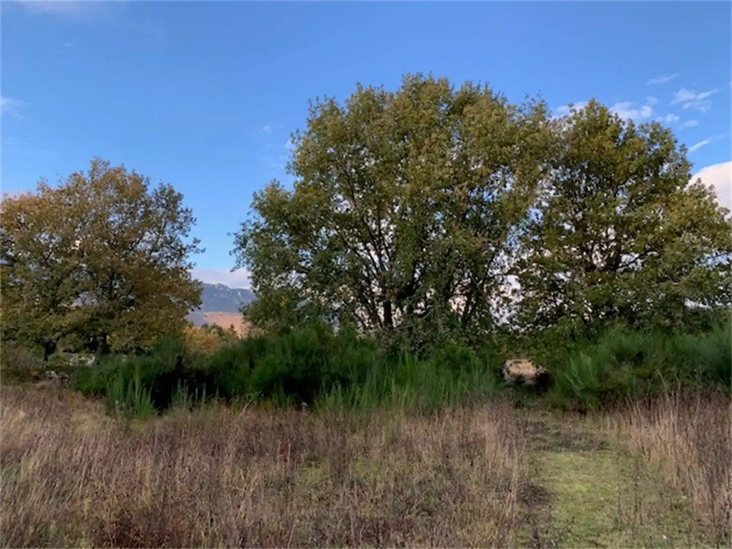 Terreno en venta en Lagrán
