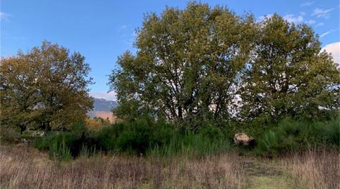 Grundstücke zum Verkauf in Avenida Vitoria, Lagrán, Araba - Álava - Bild 5 Foto 5 von Grundstücke zum Verkauf in Avenida Vitoria, Lagrán, Araba - Álava