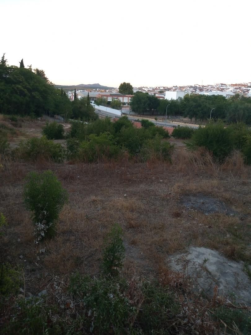 Finca rústica en venda en Casariche amb Terrassa i Balcó