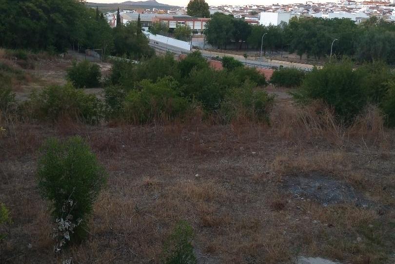 Finca rústica en venda a Calle Nueva del Río, 24, Casariche, Sevilla - imatge 1 Foto 1 de Finca rústica en venda a Calle Nueva del Río, 24, Casariche, Sevilla