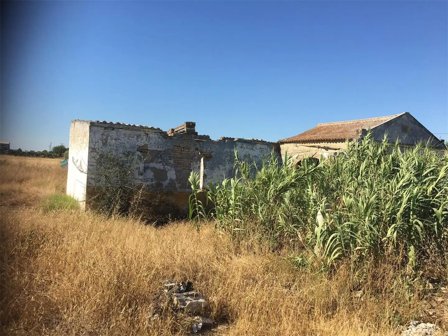 Land for sale in Utrera