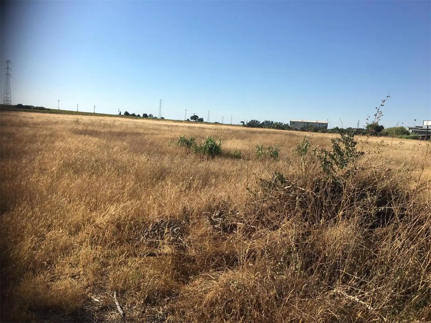 Land for sale in Utrera