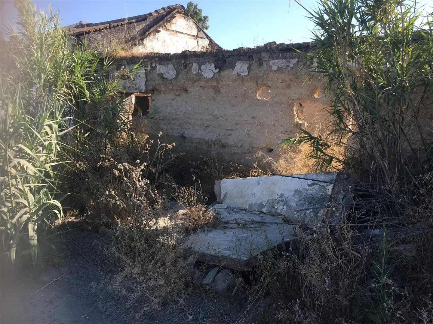 Land for sale in Utrera