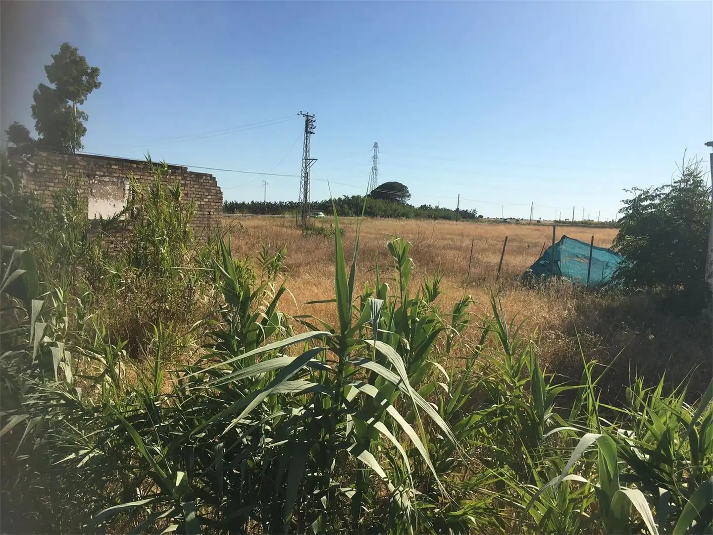 Land for sale in Utrera