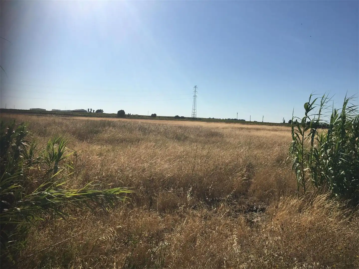 Land for sale in Utrera