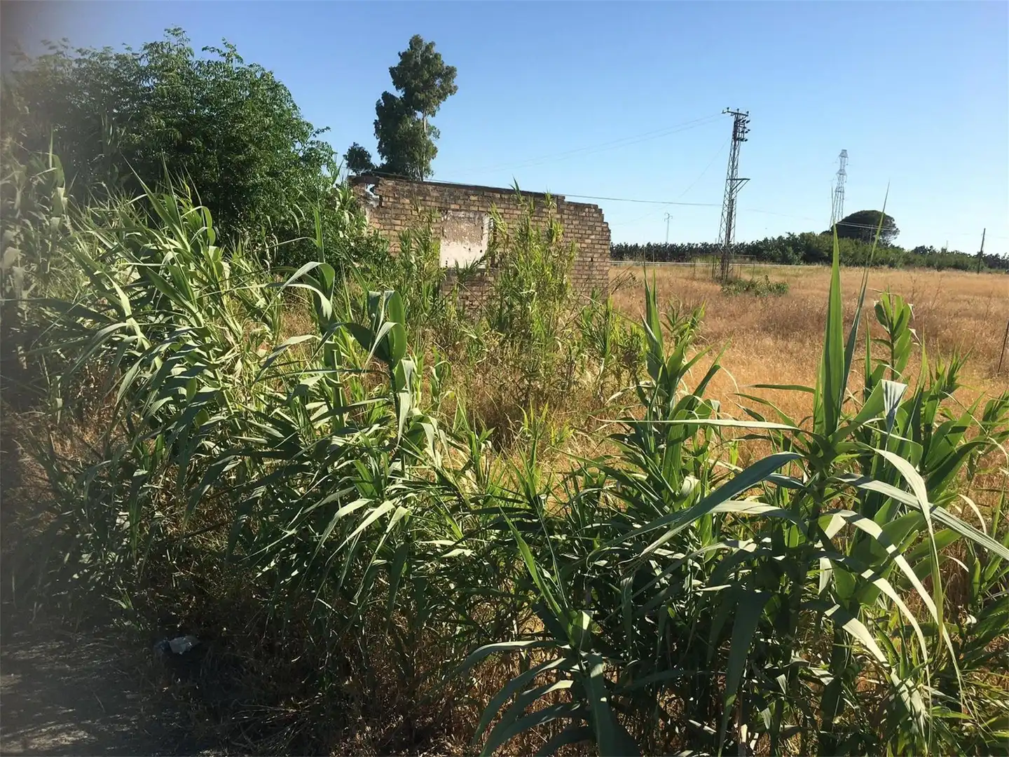 Land for sale in Utrera