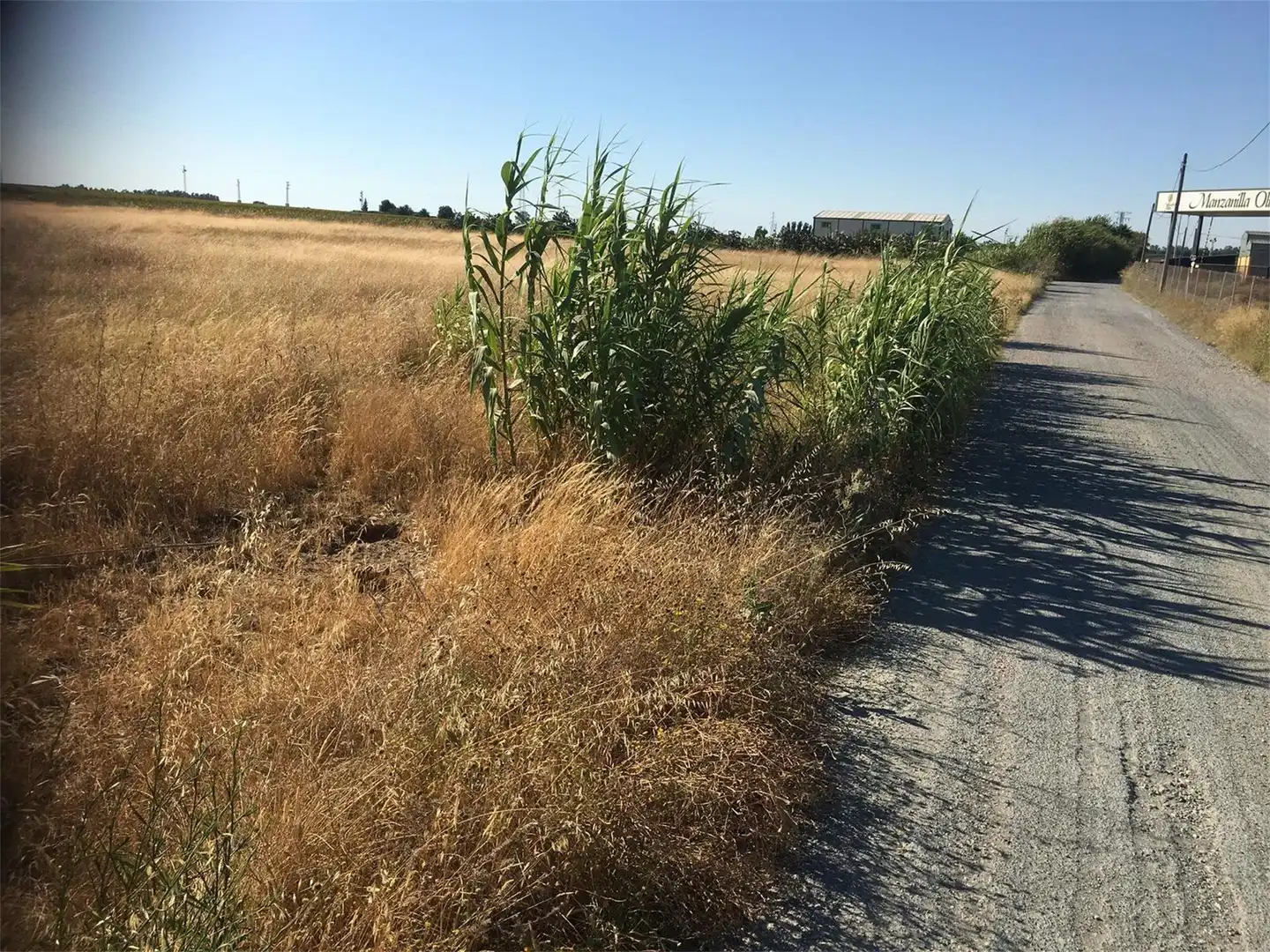Land for sale in Utrera