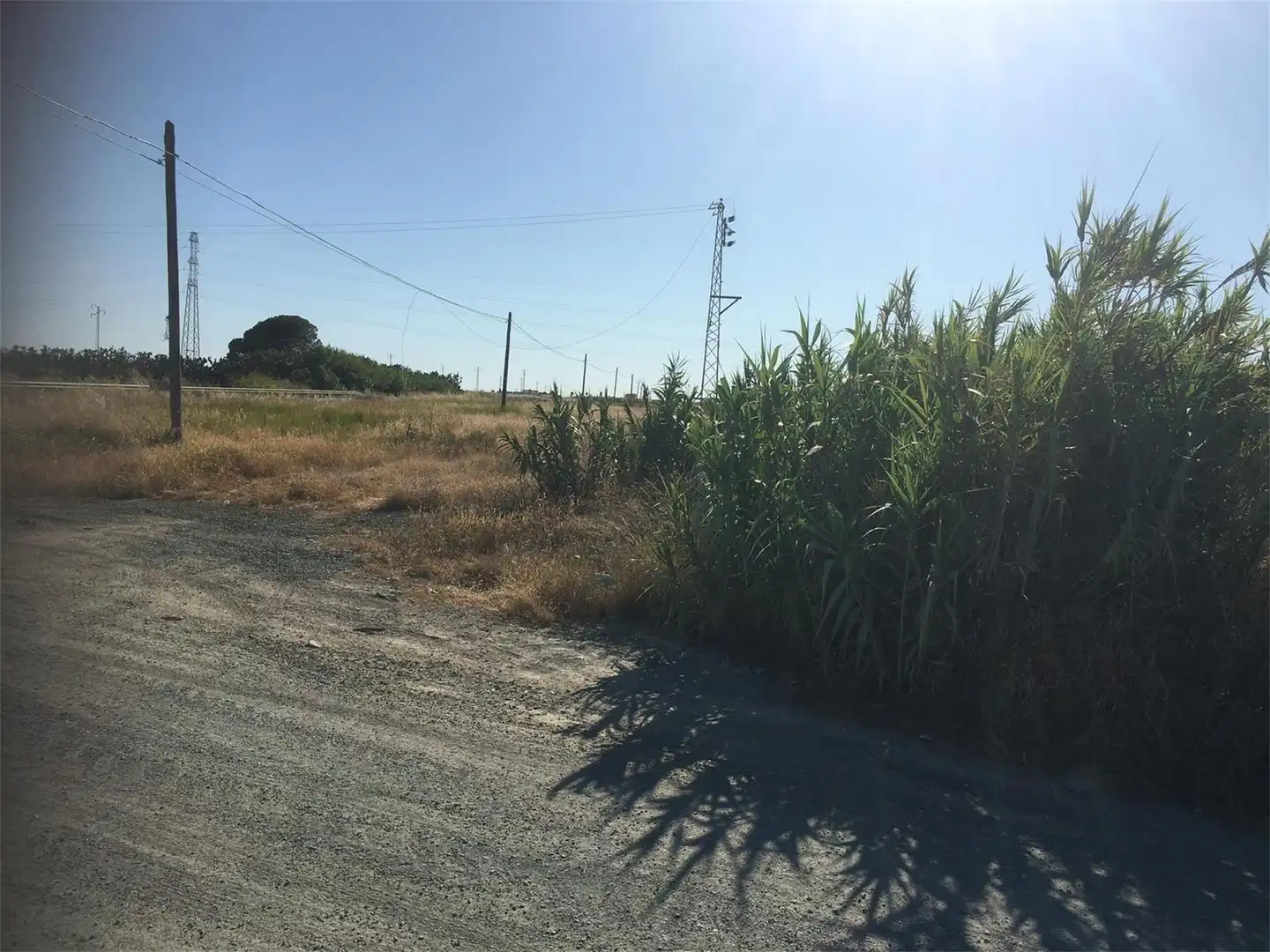 Land for sale in Utrera