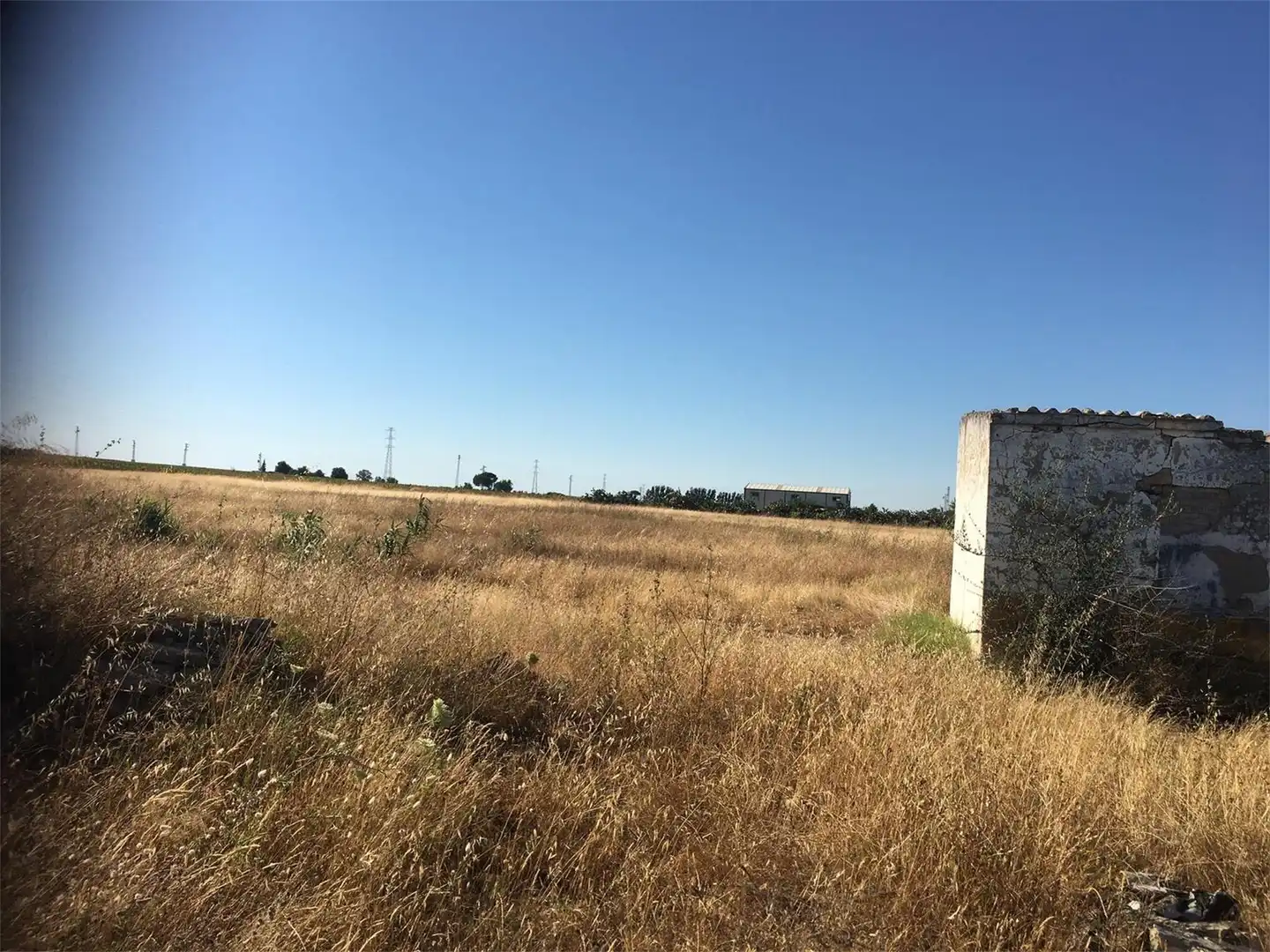 Land for sale in Utrera