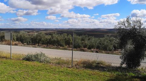 Foto 2 de Finca rústica en venda a El Carpio, Córdoba
