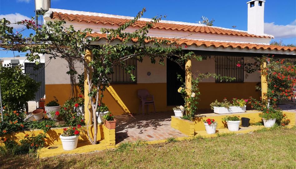 Foto 1 de Finca rústica en venda a El Carpio, Córdoba