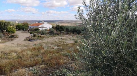 Foto 5 de Finca rústica en venda a El Carpio, Córdoba