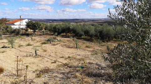 Foto 4 de Finca rústica en venda a El Carpio, Córdoba