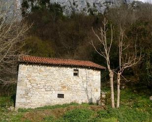 Vista exterior de Finca rústica en venda en Miera