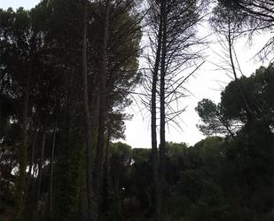 Vista exterior de No Urbanitzable en venda en San Martín de Valdeiglesias