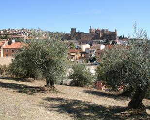 Exterior view of Land for sale in Guadalupe