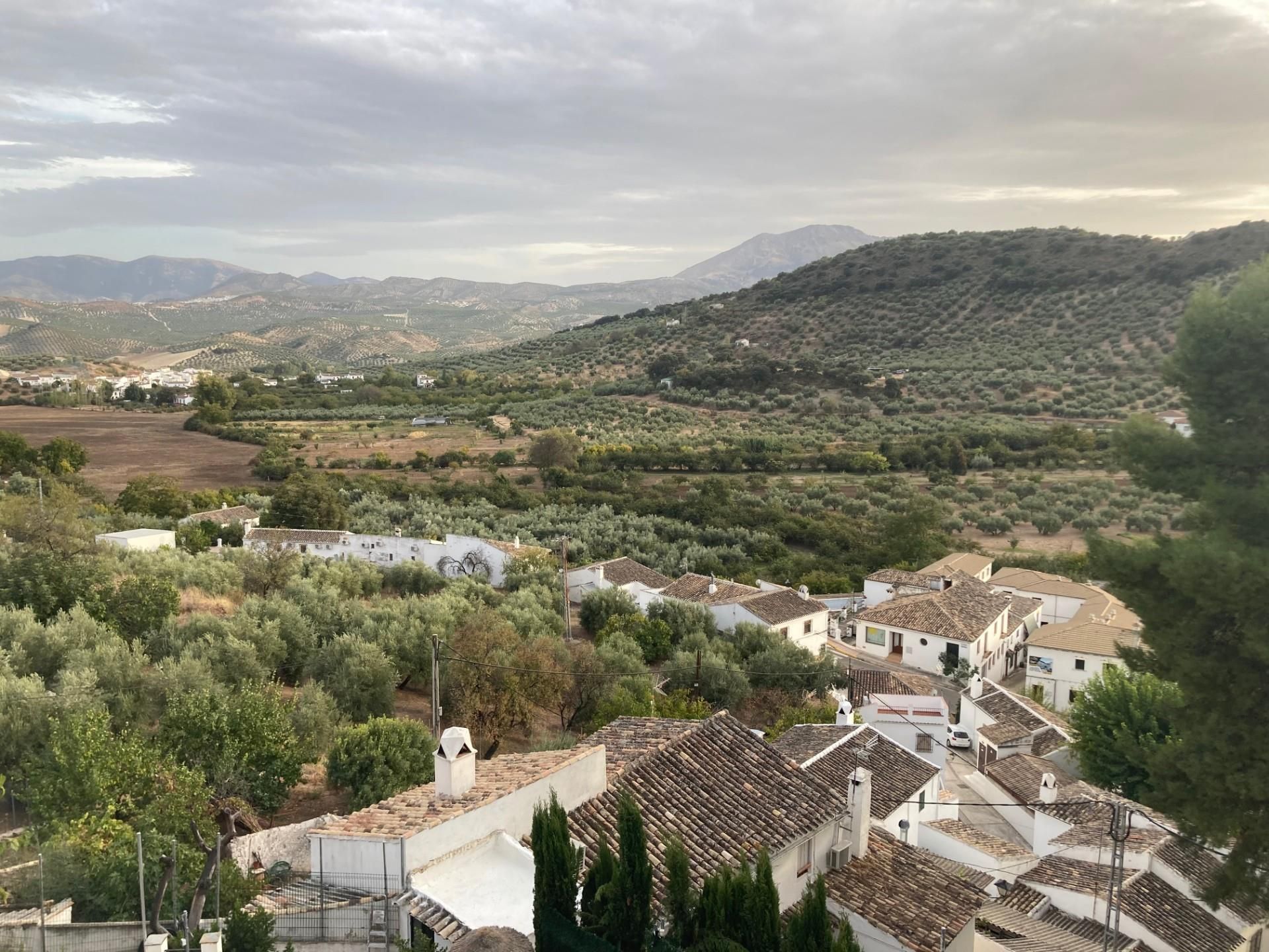 Exterior view of Country house for sale in Priego de Córdoba  with Private garden, Terrace and Storage room