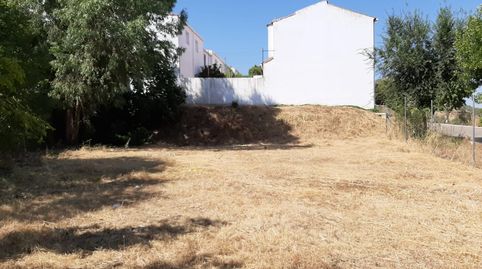 Urbanizable en venta en Calle Jarilla, Alange, Badajoz - imagen 4 Foto 4 de Urbanizable en venta en Calle Jarilla, Alange, Badajoz