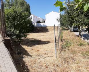 Constructible Land for sale in Alange