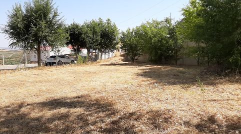 Urbanizable en venta en Calle Jarilla, Alange, Badajoz - imagen 2 Foto 2 de Urbanizable en venta en Calle Jarilla, Alange, Badajoz