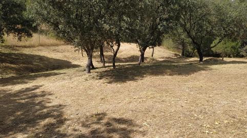 Foto 4 von Grundstücke zum Verkauf in Calle Turia, 8, El Bosque, Villaviciosa de Odón