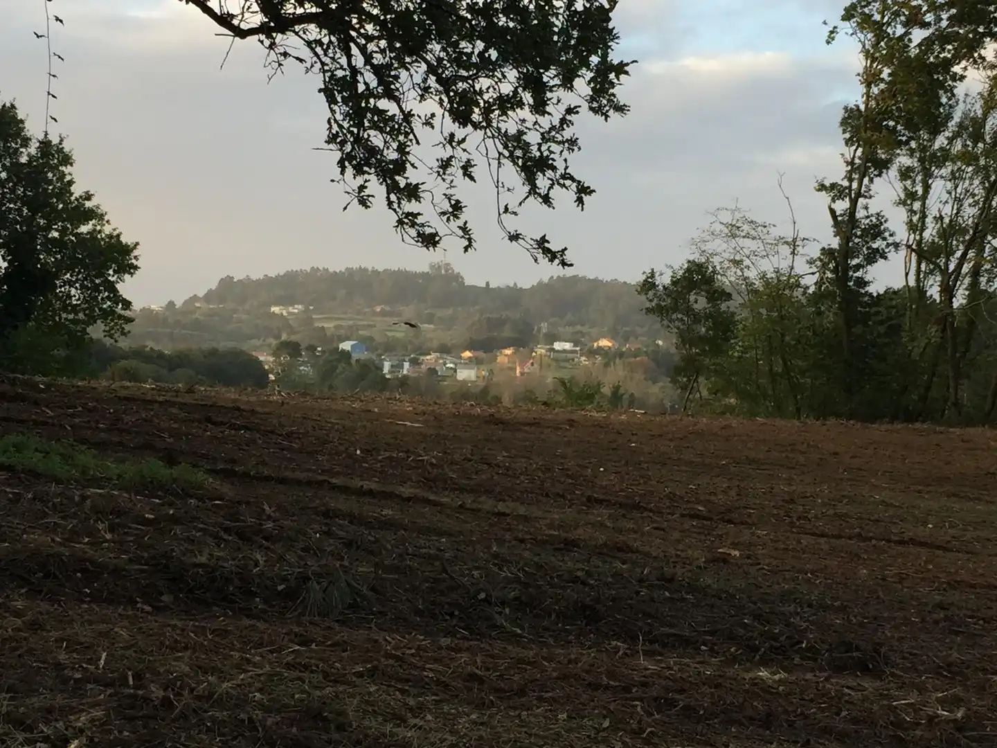 Exterior view of Non-constructible Land for sale in Cambre 