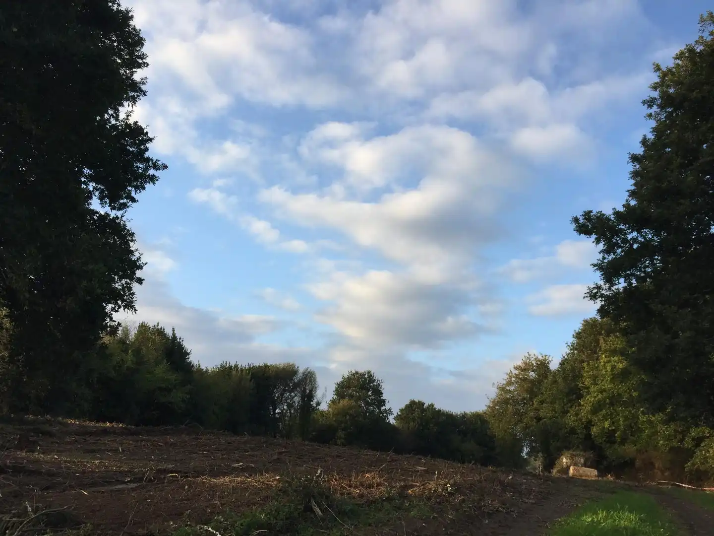 Exterior view of Non-constructible Land for sale in Cambre 