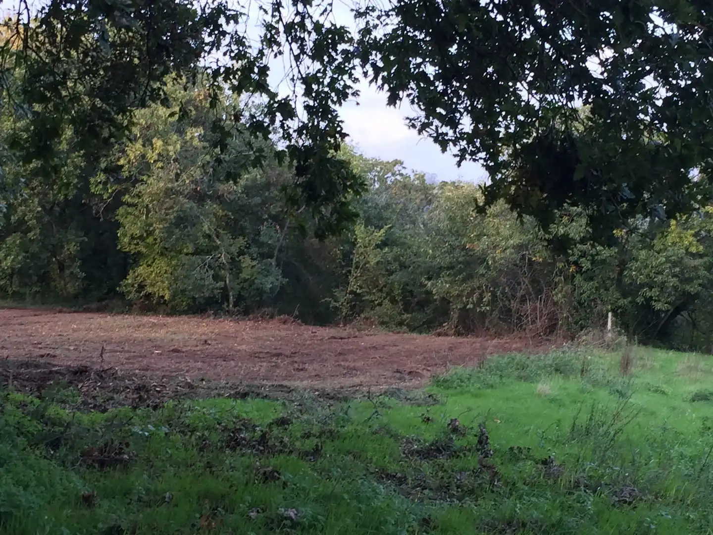 Non-constructible Land for sale in Cambre 