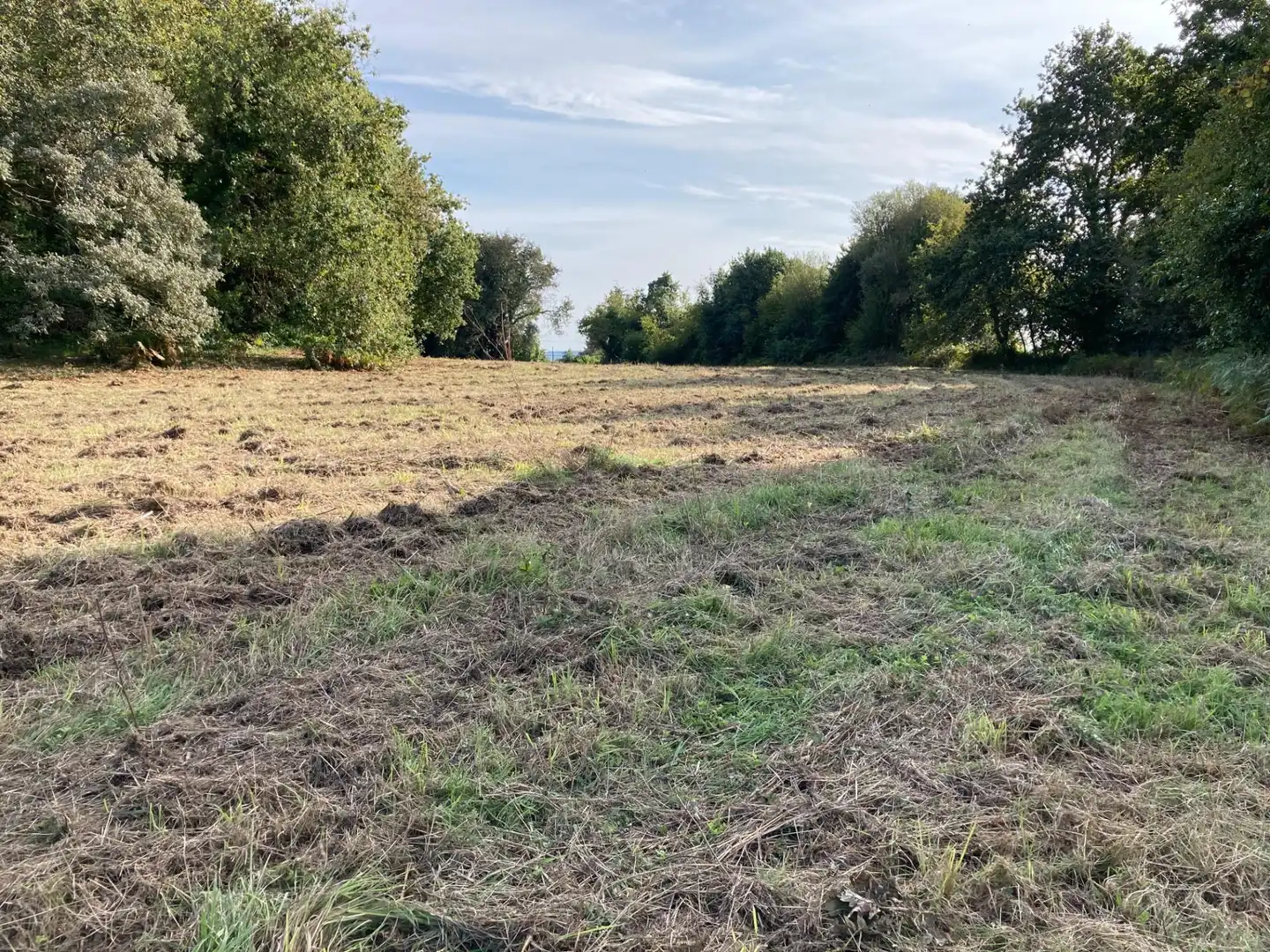 Non-constructible Land for sale in Cambre 