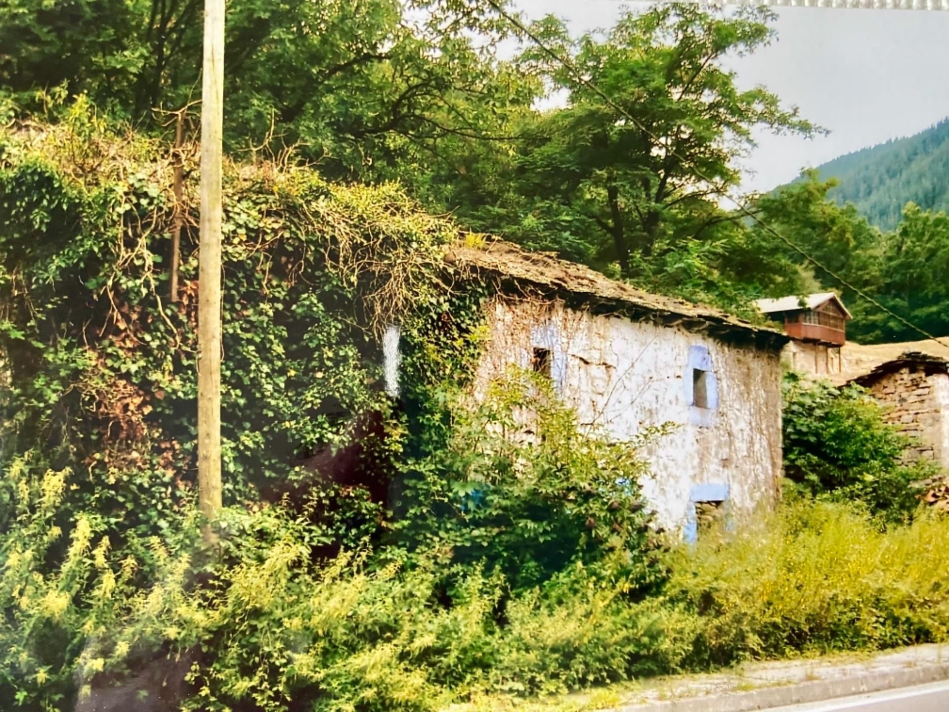 Vista exterior de Finca rústica en venda en Vega de Pas
