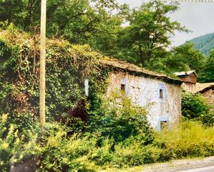 Vista exterior de Finca rústica en venda en Vega de Pas