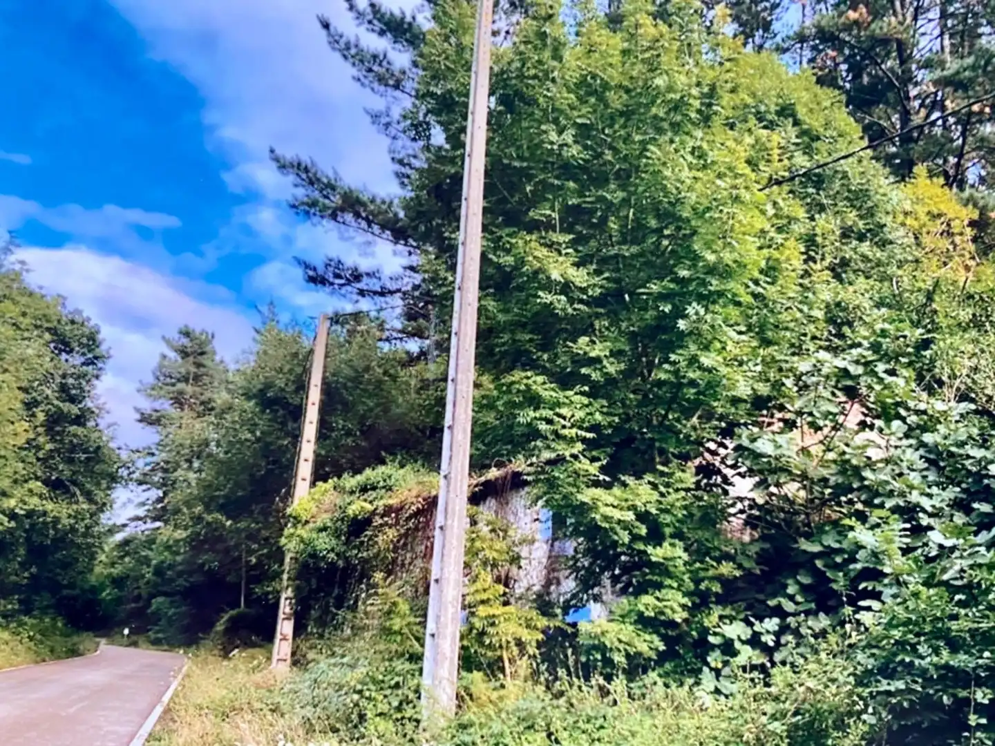 Finca rústica en venda a Calle el Cruce, Vega de Pas Finca rústica en venda en Vega de Pas