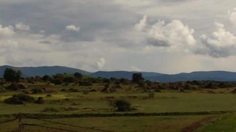 House or chalet for sale in Calle Obispo Doctor Granados, 53, Santa Ana de Pusa, Toledo - image 4 Photo 4 of House or chalet for sale in Calle Obispo Doctor Granados, 53, Santa Ana de Pusa, Toledo