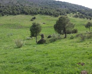 Grundstücke zum verkauf in Hinojosa de San Vicente