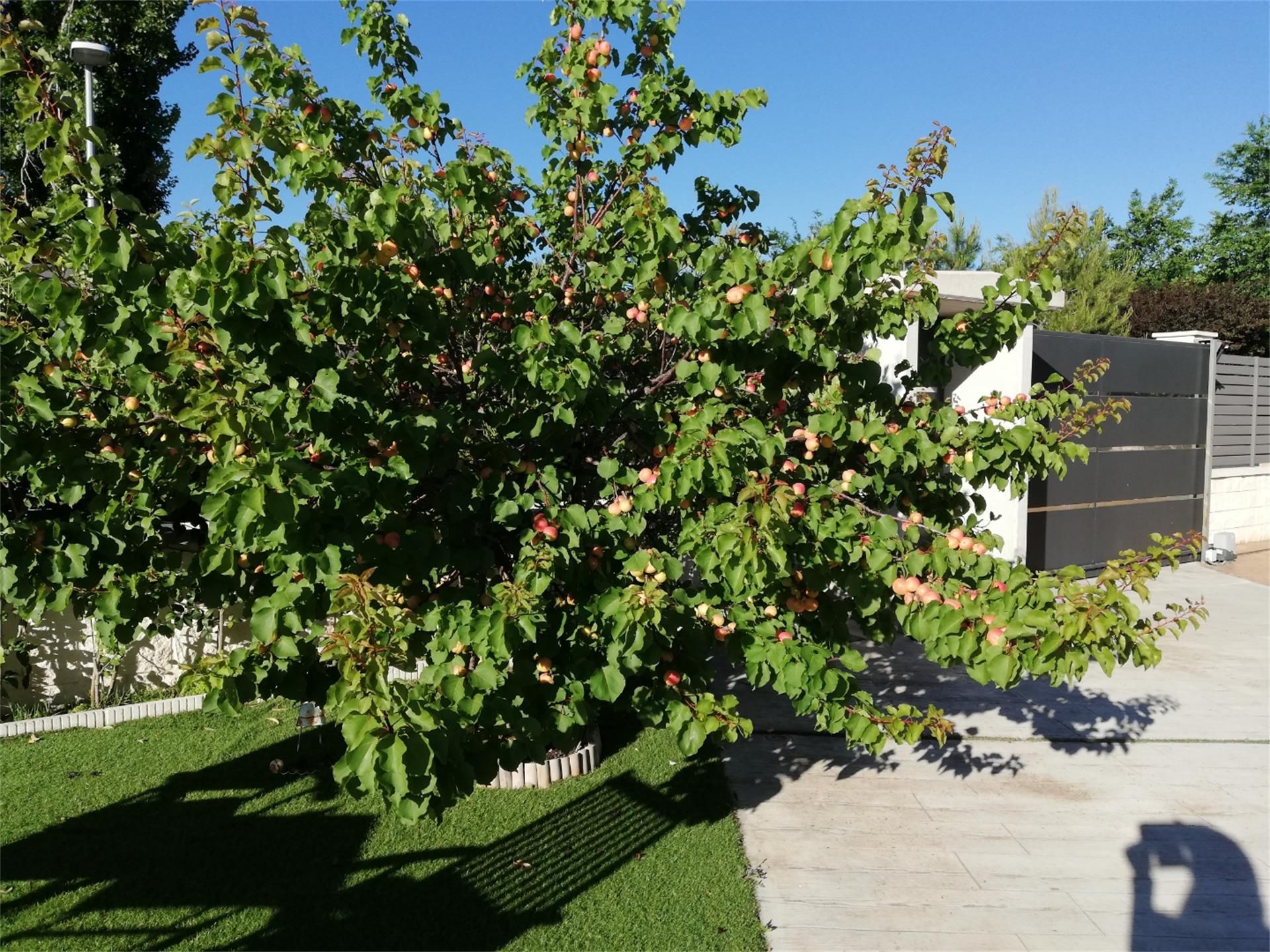 Garden of House or chalet for sale in  Albacete Capital  with Air Conditioner, Heating and Private garden