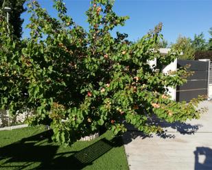 Jardí de Casa o xalet en venda en  Albacete Capital amb Aire condicionat i Piscina