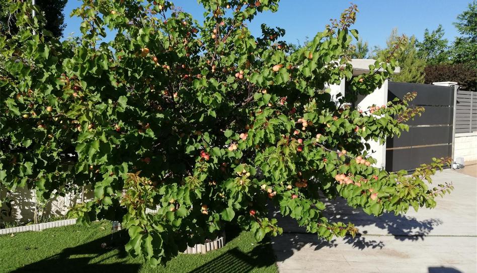 Foto 1 de Casa o xalet en venda a Centro, Albacete