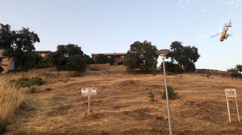 Terreno en venta en Cañamero, Cáceres - imagen 2 Foto 2 de Terreno en venta en Cañamero, Cáceres