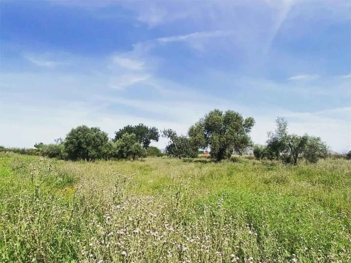Finca rústica en venda a Camino a Santa Rosa, Mar Menor Golf Finca rústica en venda en Torre-Pacheco