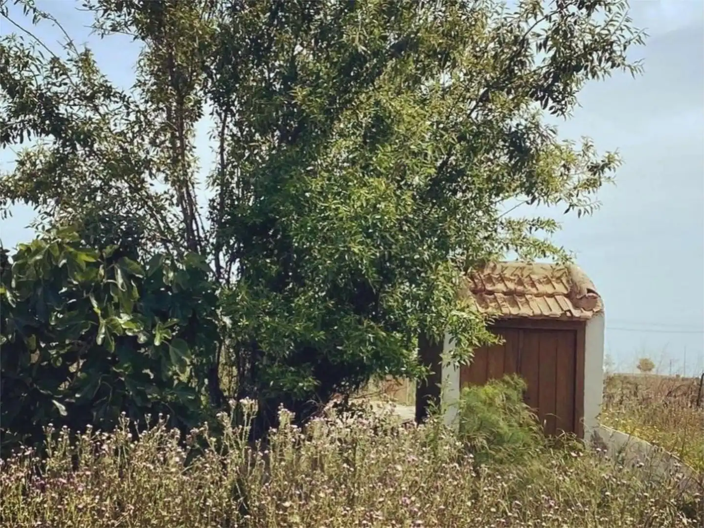 Finca rústica en venda a Camino a Santa Rosa, Mar Menor Golf Finca rústica en venda en Torre-Pacheco