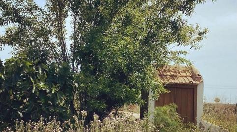 Foto 4 de Finca rústica en venda a Camino a Santa Rosa, Mar Menor Golf, Murcia