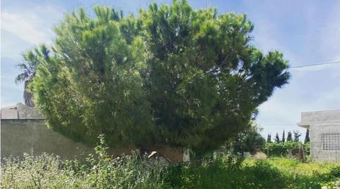 Foto 5 de Finca rústica en venda a Camino a Santa Rosa, Mar Menor Golf, Murcia