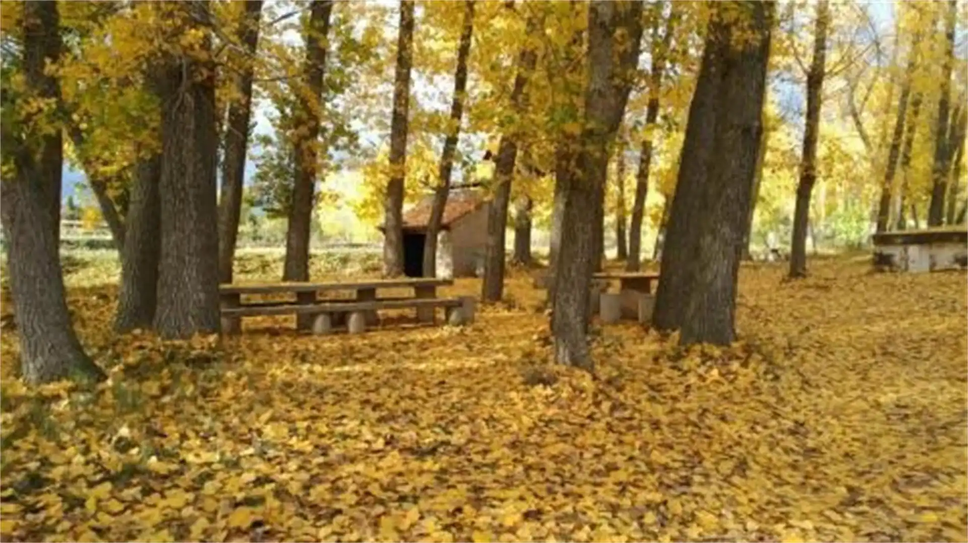 Vista exterior de Terreno en venta en Valbona