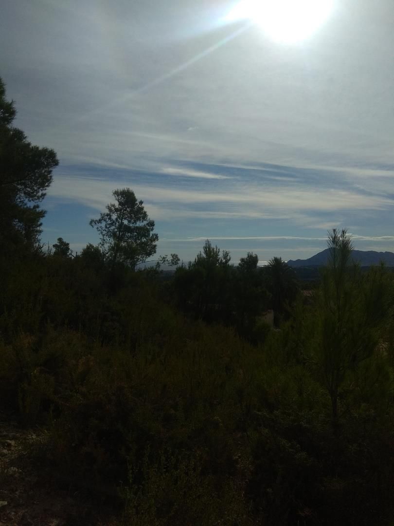 Außenansicht von Grundstücke zum verkauf in Callosa d'En Sarrià