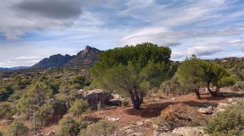 Foto 5 de Finca rústica en venta en Carretera Berrueco-la Cabrera, El Berrueco, Madrid