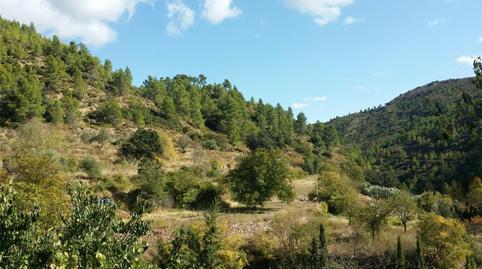 Foto 2 de Planta baixa en venda a Carretera Teresa, Bejís, Castellón